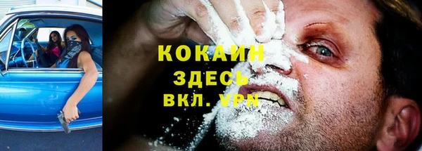 COCAINE Богородицк